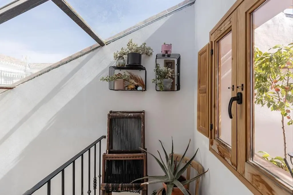 Apartment Casa Luna - Townhouse In Granada With Open Terrace